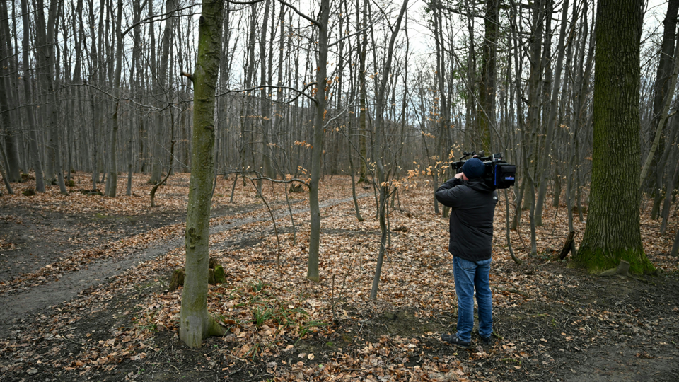 Frauenleiche Wienerwald Hernals