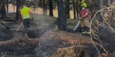 waldbrand th&uuml;ringen