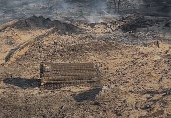 waldbrand thüringen
