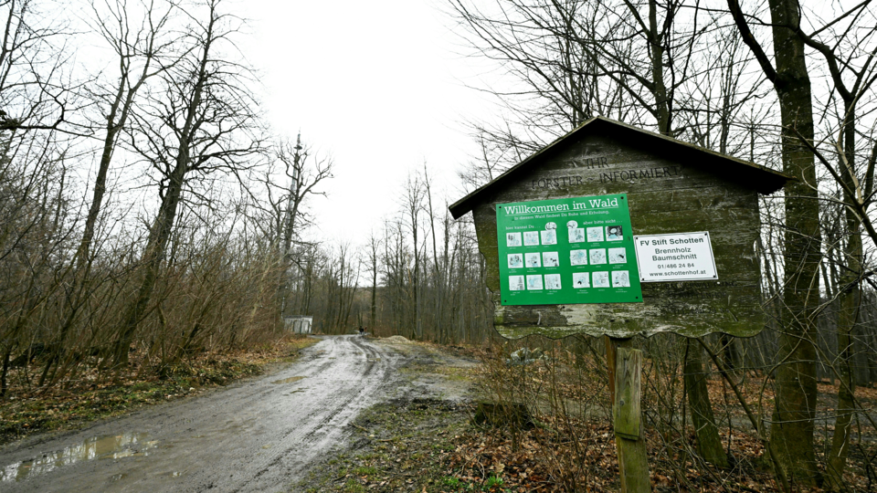 Frauenleiche Wienerwald Hernals