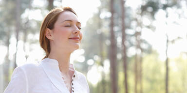 So nutzen Sie die Heilkraft der B&auml;ume