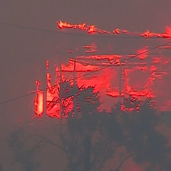 Griechenland: Waldbrand zerstört Häuser und Fabriken