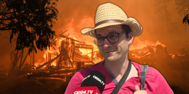 waldbr&auml;nde mu.png