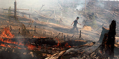 waldbr&auml;nde_reuters