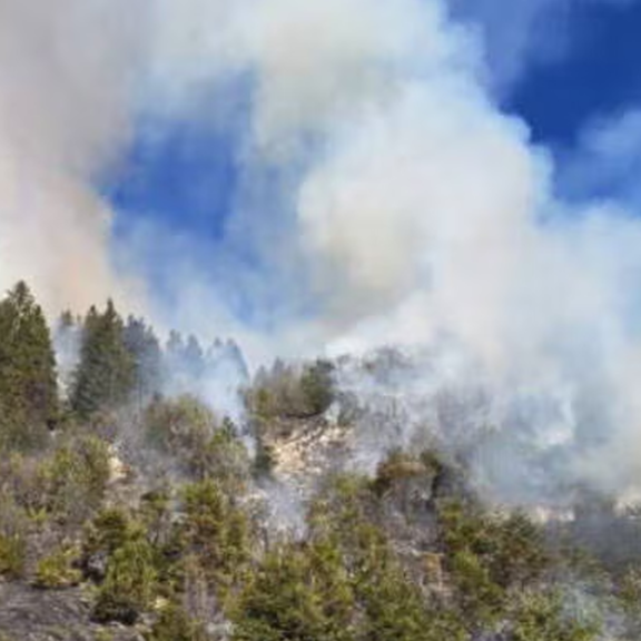 Bub für Waldbrand in Innsbruck verantwortlich