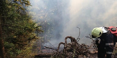 Waldbrand bei Graz unter Kontrolle