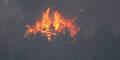 Waldbrand Colorado