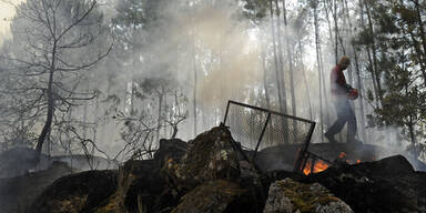 Waldbrand Portugal