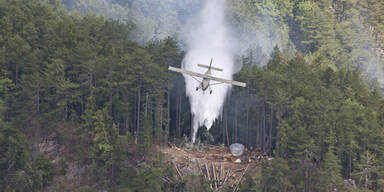 Jetzt herrscht Waldbrandstufe 2