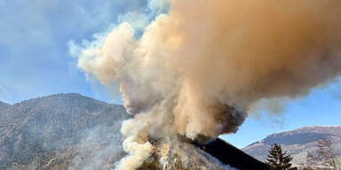Mega-Waldbrand fordert 300 Feuerwehrleute