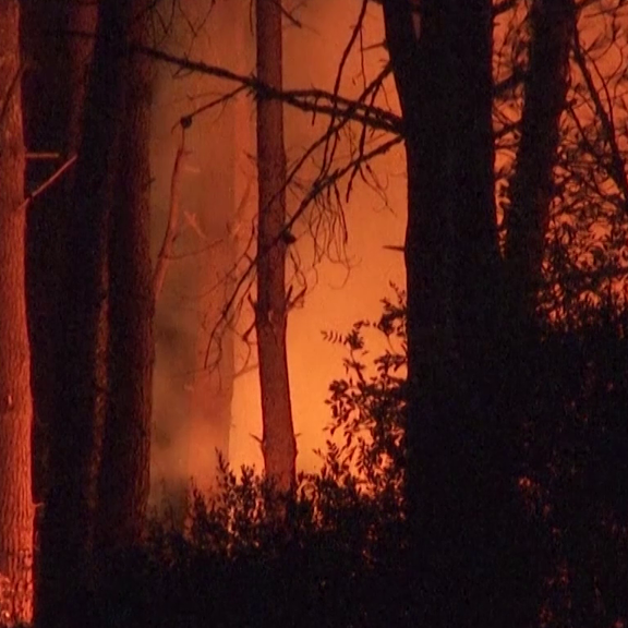 Waldbrand in Südafrika unter Kontrolle