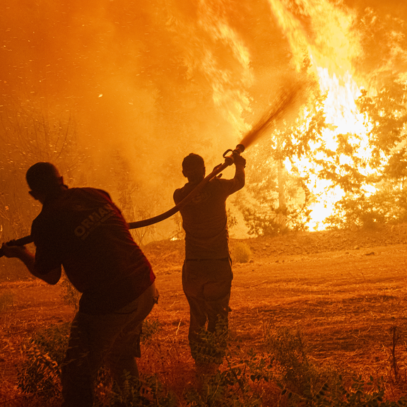 Waldbrände in Spanien: Ein Toter im Norden von Madrid