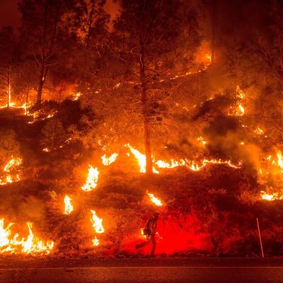 Waldbrände in Kalifornien