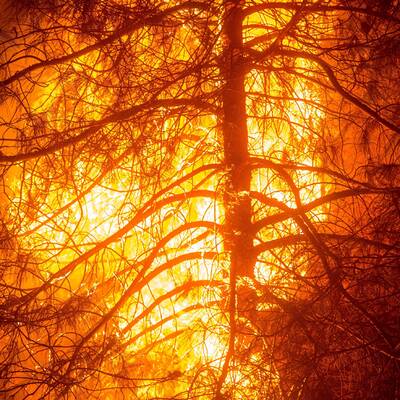 Waldbrände in Kalifornien