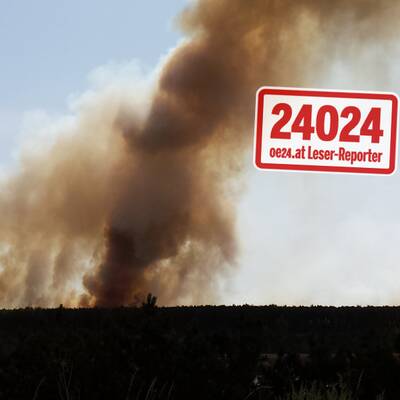 20 Hektar Wald stehen in Vollbrand