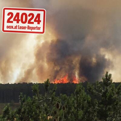 20 Hektar Wald stehen in Vollbrand