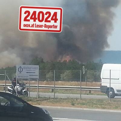 20 Hektar Wald stehen in Vollbrand