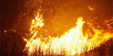 waldbrand