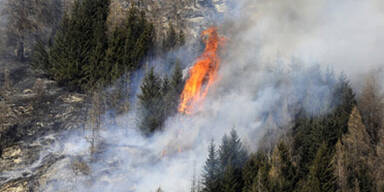 waldbrand