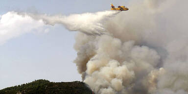 Umwelt-Terroristen legen "Mega-Waldbrand"