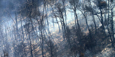 Hitze bringt hohe Waldbrandgefahr