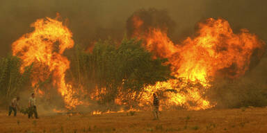 Waldbrände in Antalya teilsweise eingedämmt