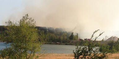 Wiener Neustadt: 20 Hektar Wald in Flammen