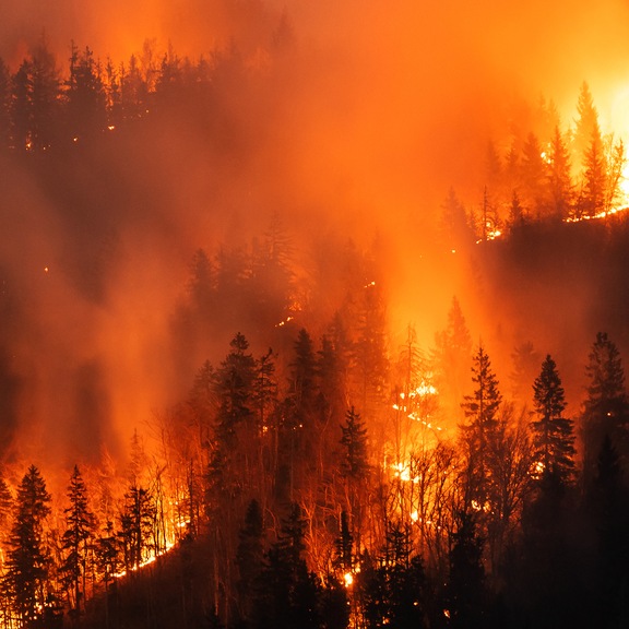 Waldbrände in Südeuropa fordern mehrere Todesopfer
