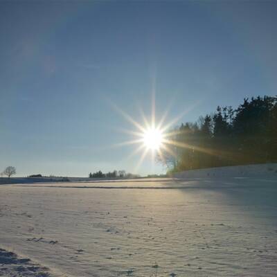 Winter im Wienerwald