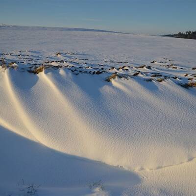 Winter im Wienerwald
