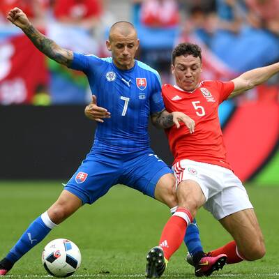 Die besten Bilder von Wales - Slowakei