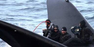 Walfänger versenken Tierschützer