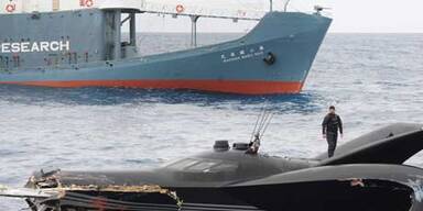 Walfänger versenken Tierschützer