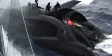 Walfänger versenken Tierschützer