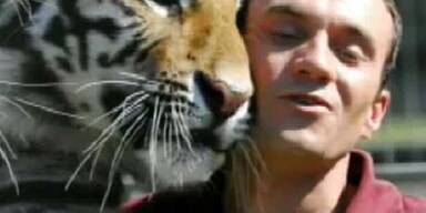 Dompteur weiter in Lebensgefahr