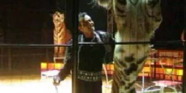 Dompteur weiter in Lebensgefahr