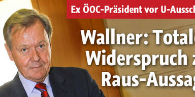 Wallner vor dem Olympia-U-Ausschuss