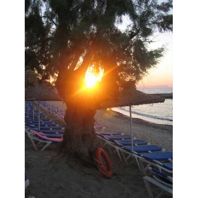 Die romantischsten Fotos