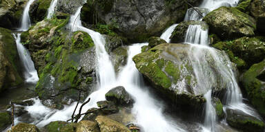 Oö. Firma darf Mühlviertler Wasser vermarkten