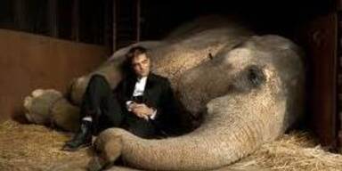 Wasser f&uuml;r die Elefanten