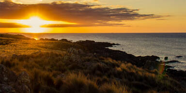 Australien: Trauminsel zu haben
