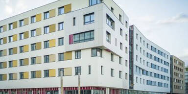 Studierenden-Heim GreenHouse