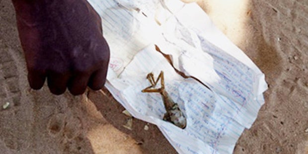 Frosch Kind SImbabwe