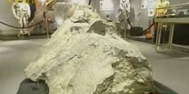 Stein kostet &uuml;ber hundertausend Euro