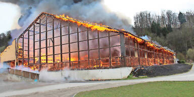 Pferde starben bei Brand in Leibnitz
