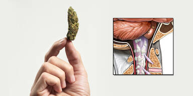 Weed