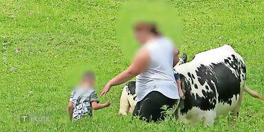 Wanderer Tirol ORF K&uuml;he