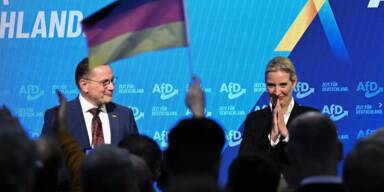 Umfrage-Beben: AfD winkt absolute Mehrheit