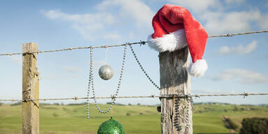 Fr&uuml;hlingswetter mitten im Advent