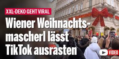 Wiener Weihnachtsmascherl lässt TikTok ausrasten
